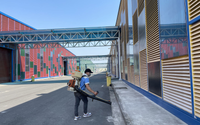 Dịch vụ diệt mối tại Bắc Bình