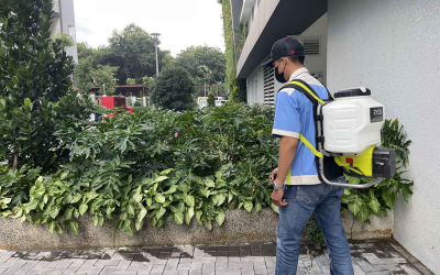 Dịch vụ diệt mối tại Bến Cát