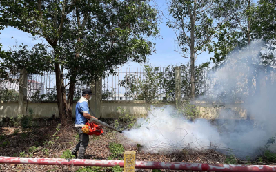 Dịch vụ diệt mối tại Biên Hòa