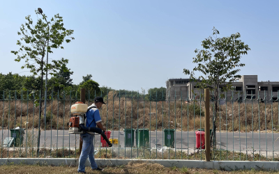 Dịch vụ diệt mối tại Bình Đại