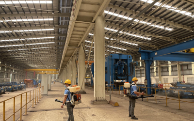 Dịch vụ diệt mối tại Bình Thủy