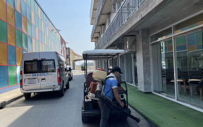 Dịch vụ diệt mối tại Cam Ranh