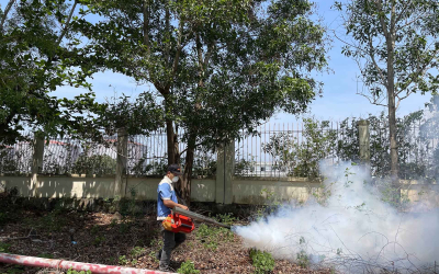 Dịch vụ diệt mối tại Cần Giuộc