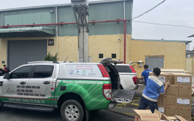 Dịch vụ diệt mối tại Đông Hòa