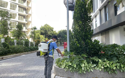 Dịch vụ diệt mối tại Đức Hòa