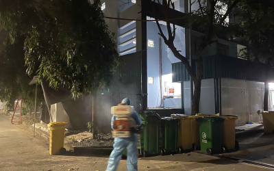 Dịch vụ diệt mối tại Long Điền