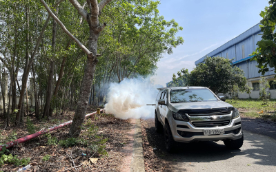 Dịch vụ diệt mối tại Long Hồ