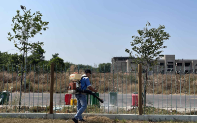 Dịch vụ diệt mối tại Mỹ Tho