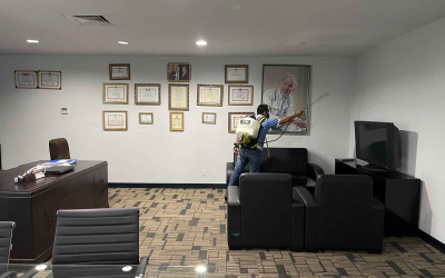 Dịch vụ diệt mối tại Nhơn Trạch