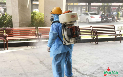 Dịch vụ diệt mối tại Quận 3