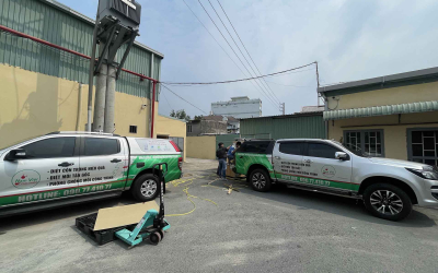 Dịch vụ diệt mối tại quận Tân Bình