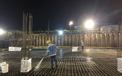 Dịch vụ diệt mối tại Quy Nhơn