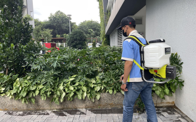 Dịch vụ diệt mối tại Sóc Trăng