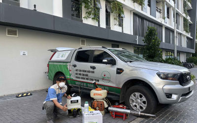 Dịch vụ diệt mối tại Tân Uyên
