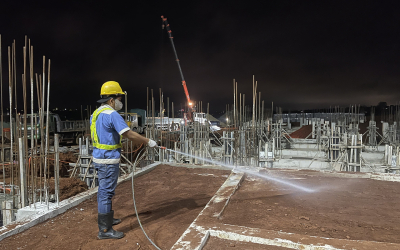 Dịch vụ diệt mối tại Tây Sơn