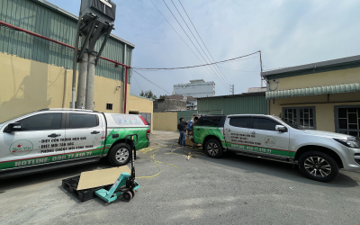 Dịch vụ diệt mối tại Tuy An (Phú Yên)