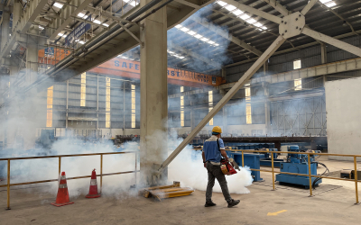 Dịch vụ diệt mối tại Tuy Hòa