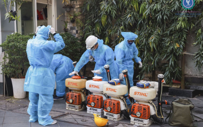 Dịch vụ diệt mối tại Tuy Phong