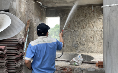Dịch vụ diệt mối tại Tuy Phước