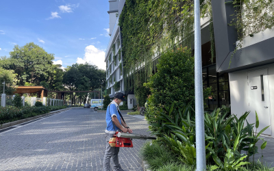 Dịch vụ diệt mối tại Vị Thanh