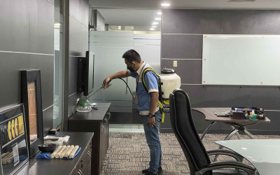 Dịch vụ diệt mối tại Vĩnh Cửu