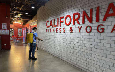 Dịch vụ diệt mối tại Vũng Tàu