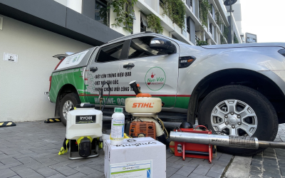 Dịch vụ diệt mối tại Quận Gò Vấp