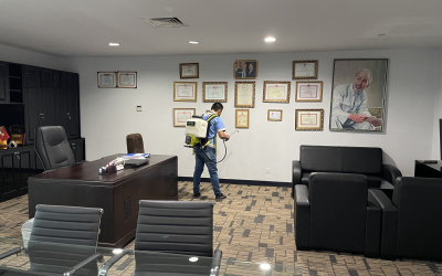 Dịch vụ diệt mối tại Thành phố Thủ Đức