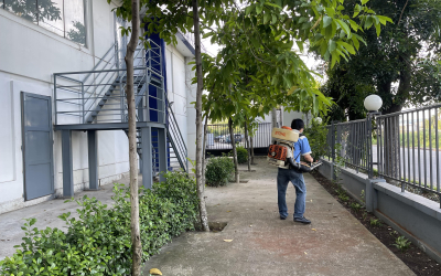 Dịch vụ diệt mối tại Thủ Dầu Một