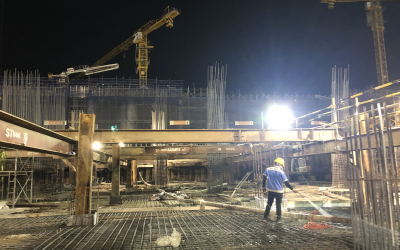 Dịch vụ diệt mối tại Ninh Sơn