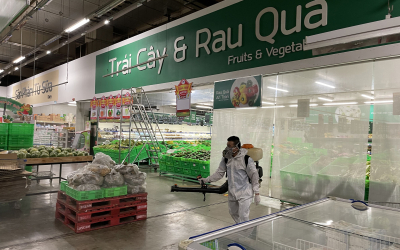 Dịch vụ diệt mối tại Diên Khánh